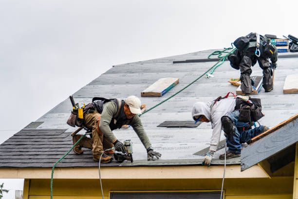 Professional Gutter Installation technician working in Shafer, MN