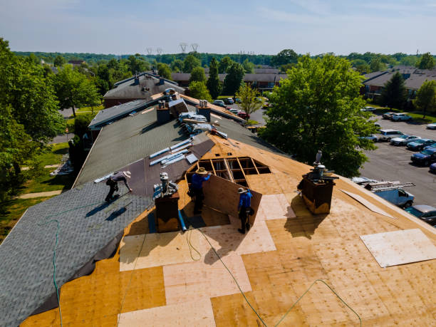 Trusted Roof Replacement service in Shafer, MN - Brentwood Metal Roofing